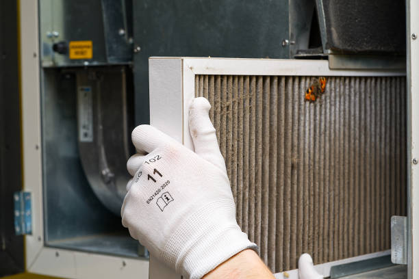 Best Local Air Duct Cleaning Services  in Durand, WI