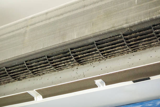 Best Ventilation Cleaning Services  in Durand, WI